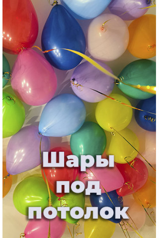 Истории 9