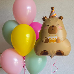 Шары девочке «Капибара-Party» с праздничным фонтаном
