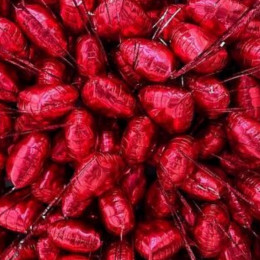 Шары под потолок Биение Сердца на 14 февраля 50 шт