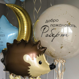 Шары на выписку Лунная сказка